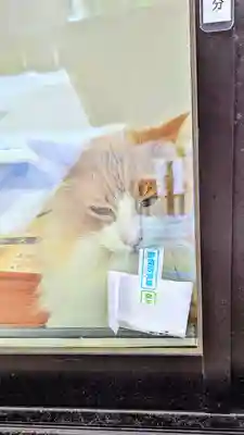 駒込妙義神社の動物