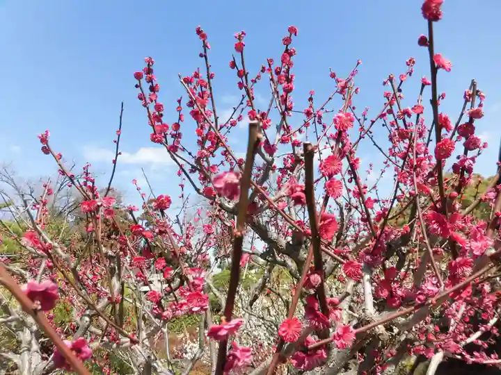 城南宮(京都府)
