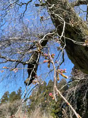 北野神社(福島県)