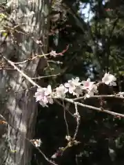 鹿島大神宮(福島県)