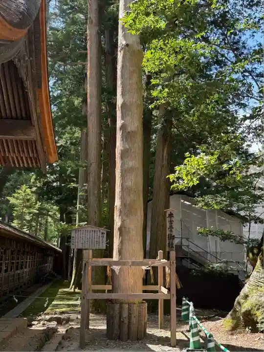 諏訪大社(長野県)