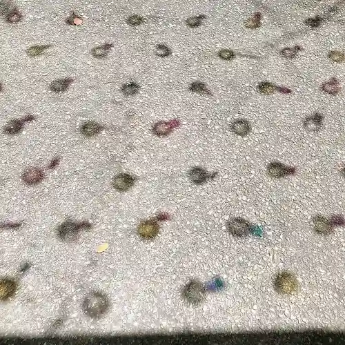 宮地嶽神社(福岡県)