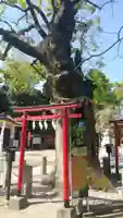 新田神社の自然