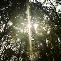 稲荷神社の自然