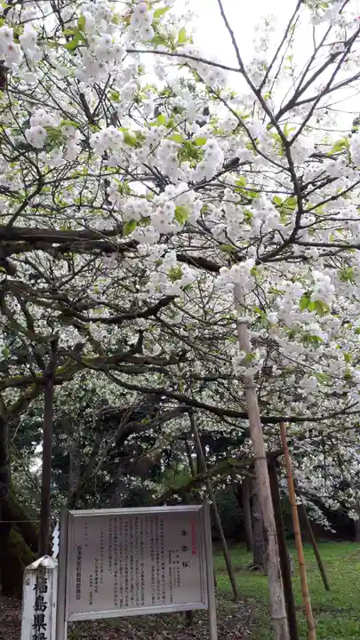 伊佐須美神社の自然