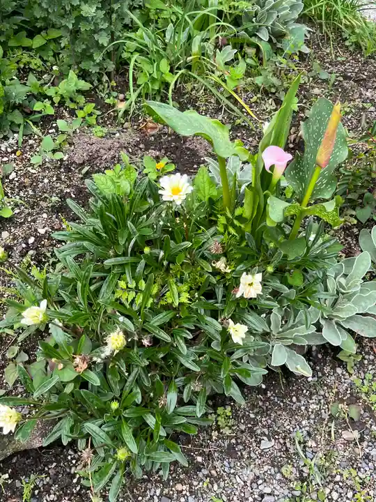正傅寺(滋賀県)