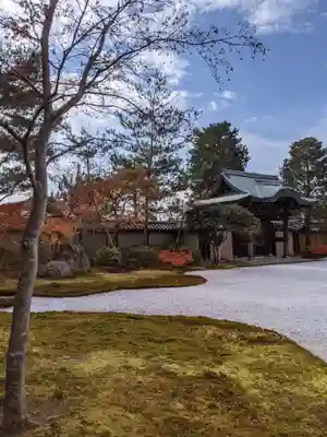 高台寺（高台寿聖禅寺・高臺寺）(京都府)