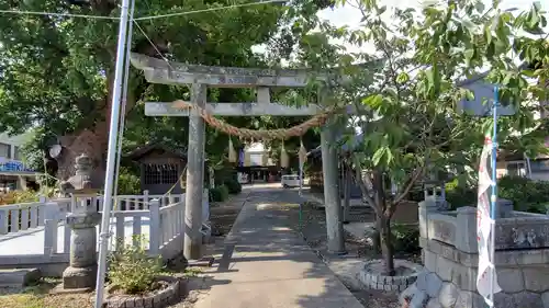 大社神社の鳥居