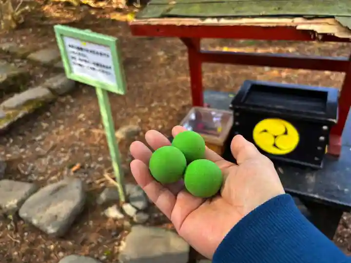 瀧尾神社(日光二荒山神社別宮)(栃木県)