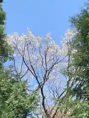 瀧神社(茨城県)