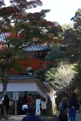 円覚寺(神奈川県)