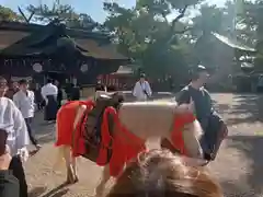 住吉大社(大阪府)