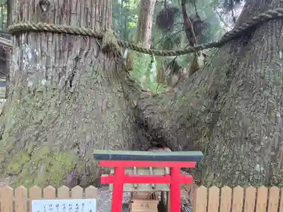 室生龍穴神社(奈良県)