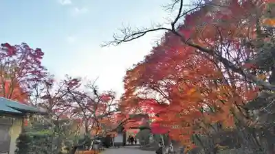 常照寺のその他建物