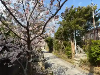 五所神社の{uncategorized: "未分類", other: "その他", undefined: "問題あり", building: "その他建物", grave: "お墓", sacred_gate: "鳥居", guardian: "狛犬", statue: "像", buddha: "仏像", history: "歴史", nature: "自然", garden: "庭園", animal: "動物", pagoda: "塔", temizu: "手水舎", mountain_gate: "山門・神門", sanctuary: "本殿・本堂", subordinate: "末社・摂社", art: "芸術", scenery: "景色", jizo: "地蔵", ema: "絵馬", goshuin: "御朱印", omikuji: "おみくじ", items: "授与品その他", amulet: "お守り", goshuincho: "御朱印帳", eats: "食事", festival: "お祭り", votive_dance: "神楽", shichigosan: "七五三参", wedding: "結婚式", experience: "体験その他", initially: "初詣", around: "周辺", anti_infection: "感染症対策"}