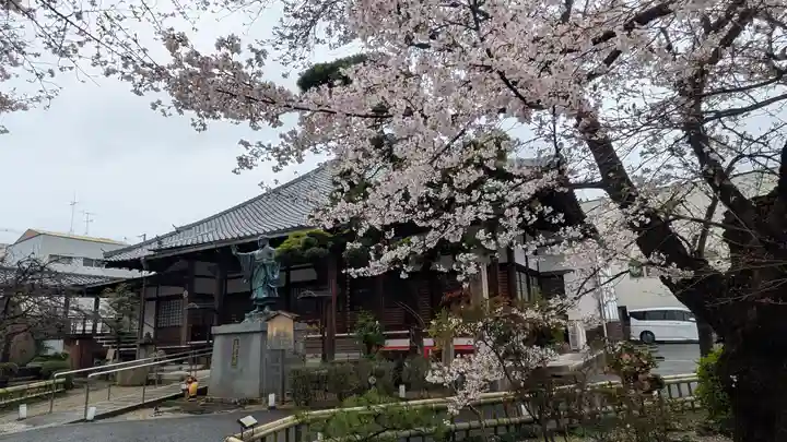 墨染寺(桜寺)(京都府)