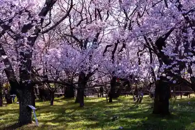 新城藤原神社(長野県)