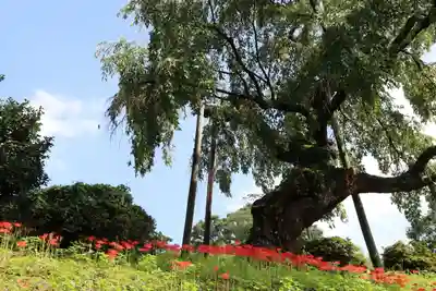 建福寺(福島県)