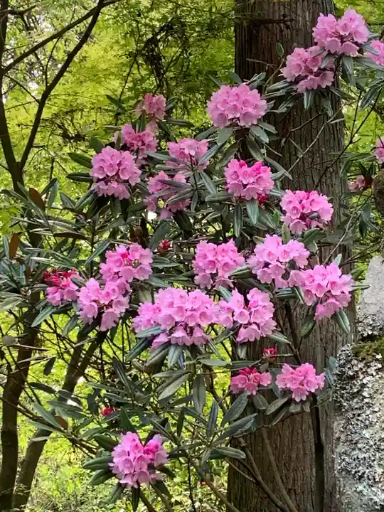 播州清水寺の自然