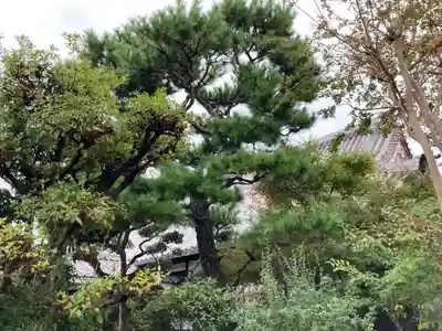 極楽寺(兵庫県)