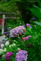 太平山神社(栃木県)