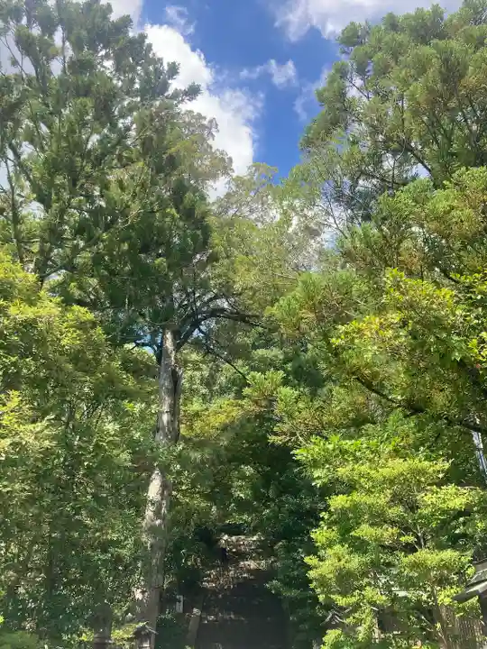 葛城一言主神社(奈良県)