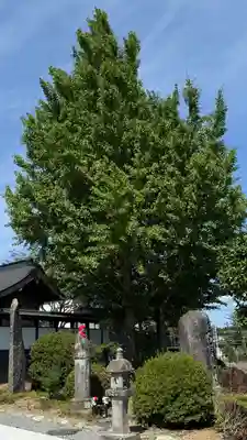 長源寺(宮城県)