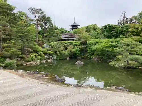 仁和寺の庭園