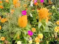 阿邪訶根神社(福島県)