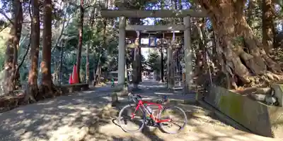 腰掛神社(神奈川県)