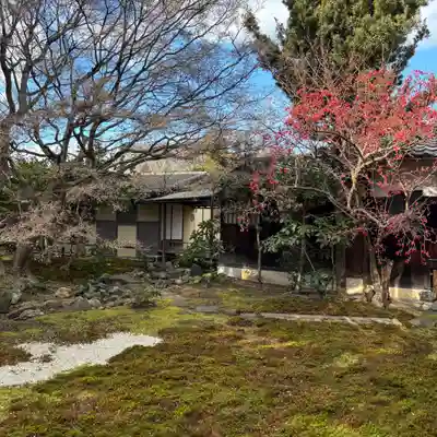 興聖寺(京都府)
