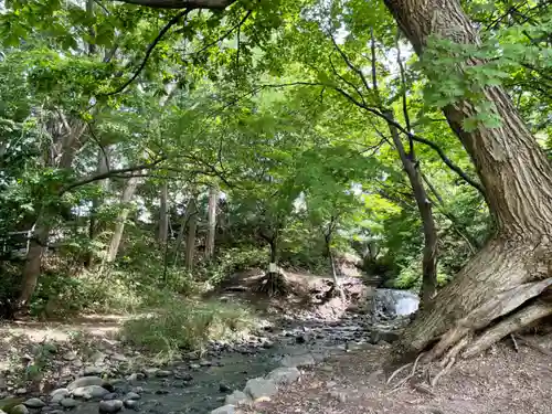 平岸天満宮・太平山三吉神社の自然