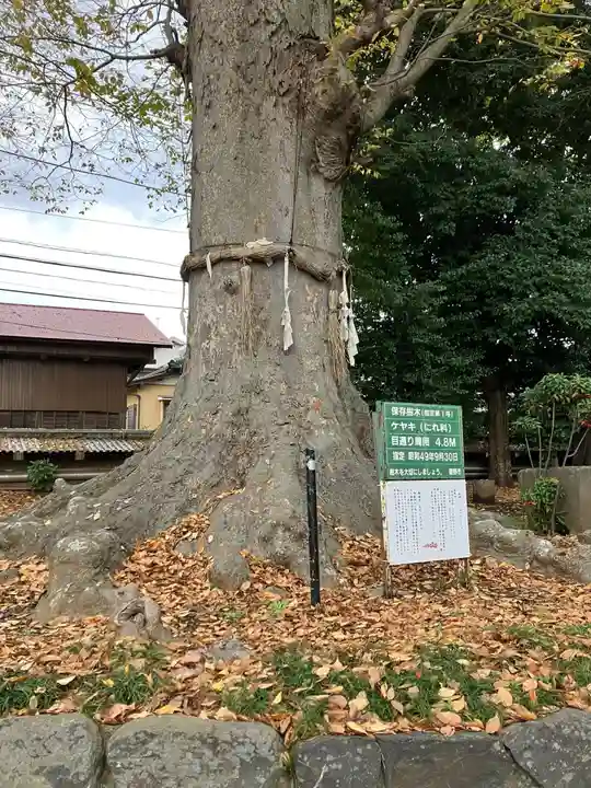 御嶽神社の自然