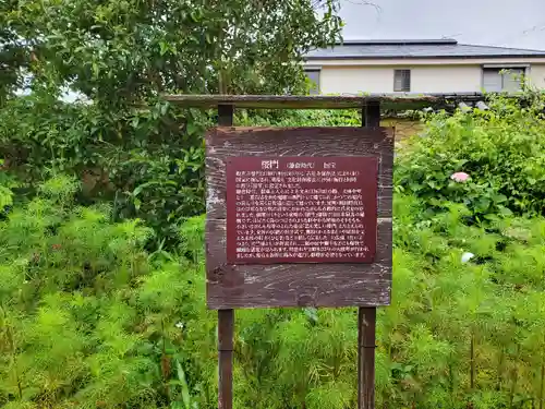 般若寺 ❁﻿コスモス寺❁(奈良県)