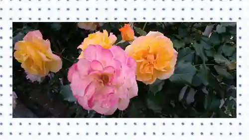 尾久八幡神社(東京都)