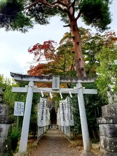 開成山大神宮の鳥居