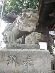 阿邪訶根神社の狛犬