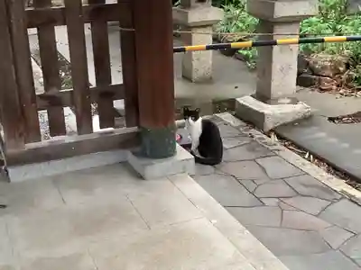 天王坊稲荷神社(岐阜県)