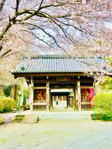 大山寺の{uncategorized: "未分類", other: "その他", undefined: "問題あり", building: "その他建物", grave: "お墓", sacred_gate: "鳥居", guardian: "狛犬", statue: "像", buddha: "仏像", history: "歴史", nature: "自然", garden: "庭園", animal: "動物", pagoda: "塔", temizu: "手水舎", mountain_gate: "山門・神門", sanctuary: "本殿・本堂", subordinate: "末社・摂社", art: "芸術", scenery: "景色", jizo: "地蔵", ema: "絵馬", goshuin: "御朱印", omikuji: "おみくじ", items: "授与品その他", amulet: "お守り", goshuincho: "御朱印帳", eats: "食事", festival: "お祭り", votive_dance: "神楽", shichigosan: "七五三参", wedding: "結婚式", experience: "体験その他", initially: "初詣", around: "周辺", anti_infection: "感染症対策"}