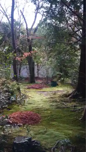 蓮華寺（洛北蓮華寺）(京都府)
