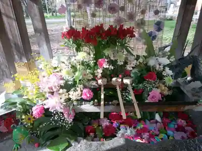 彌彦神社　(伊夜日子神社)の手水舎