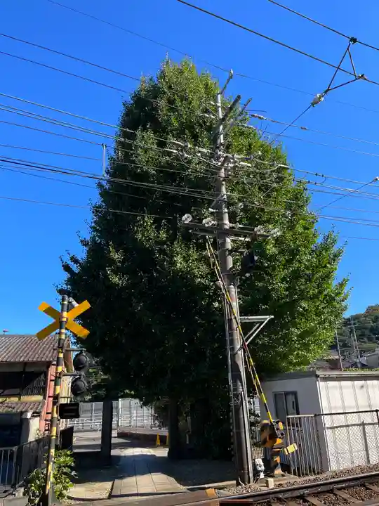 妙光寺(滋賀県)