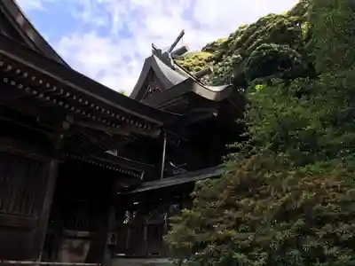 石見国一宮　物部神社の本殿・本堂
