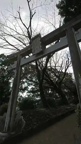 菊池神社の鳥居