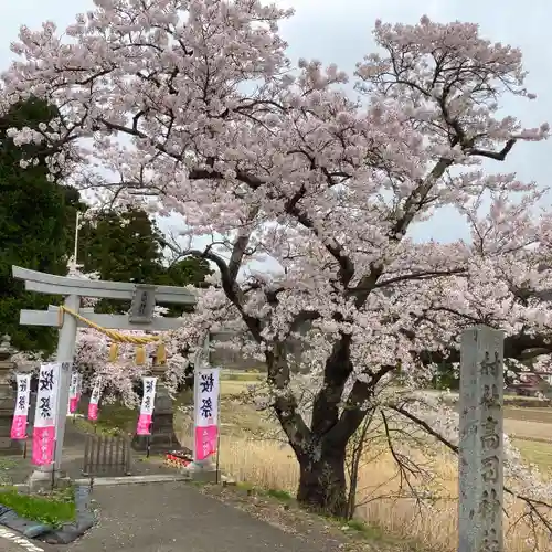 高司神社〜むすびの神の鎮まる社〜の自然