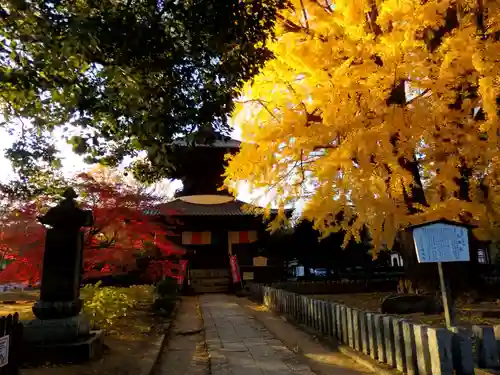 鑁阿寺のその他建物