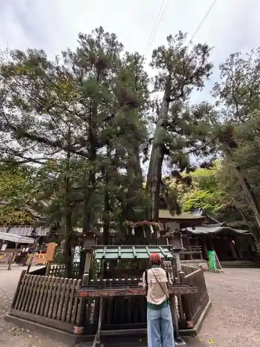 大神神社の{uncategorized: "未分類", other: "その他", undefined: "問題あり", building: "その他建物", grave: "お墓", sacred_gate: "鳥居", guardian: "狛犬", statue: "像", buddha: "仏像", history: "歴史", nature: "自然", garden: "庭園", animal: "動物", pagoda: "塔", temizu: "手水舎", mountain_gate: "山門・神門", sanctuary: "本殿・本堂", subordinate: "末社・摂社", art: "芸術", scenery: "景色", jizo: "地蔵", ema: "絵馬", goshuin: "御朱印", omikuji: "おみくじ", items: "授与品その他", amulet: "お守り", goshuincho: "御朱印帳", eats: "食事", festival: "お祭り", votive_dance: "神楽", shichigosan: "七五三参", wedding: "結婚式", experience: "体験その他", initially: "初詣", around: "周辺", anti_infection: "感染症対策"}