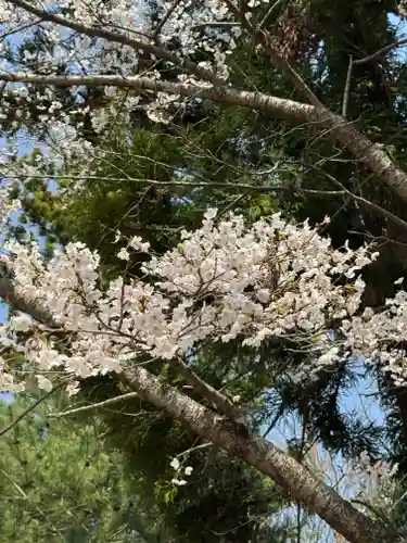 隠津島神社(福島県)