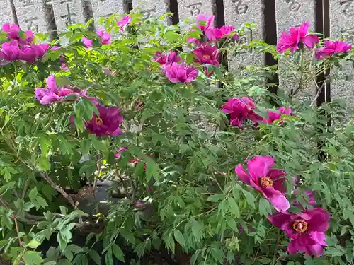 観音寺(徳島県)