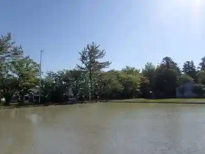 本村井神社の自然